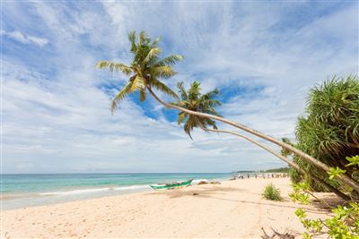 Balapitiya, Sri Lanka - Die schöne Landschaft am Strand von Balapitiya